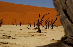 406 Namibia Okt 2006 .JPG